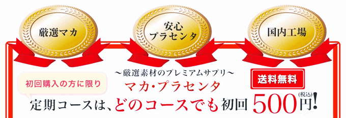 たったの500円