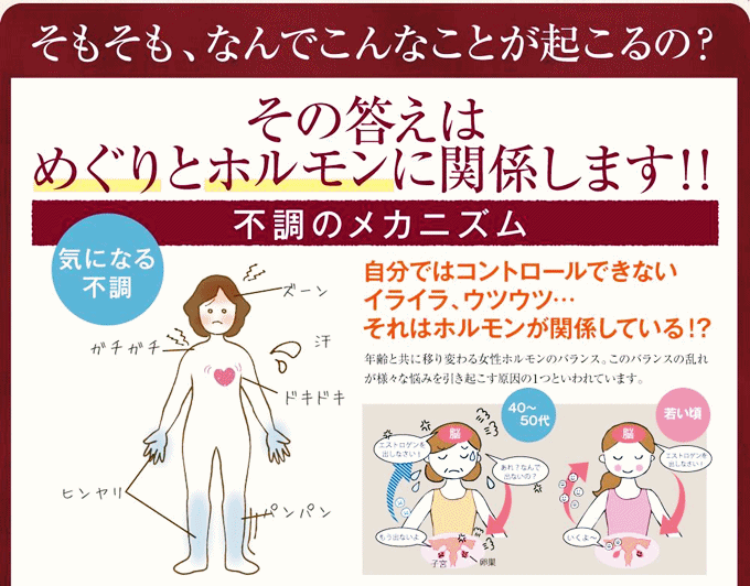  めぐりとホルモンのバランス